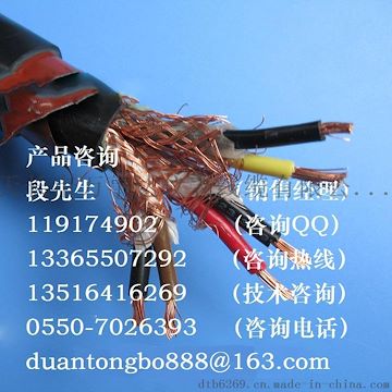 ZRA-DJFFRP22阻燃铠装计算机屏蔽电缆